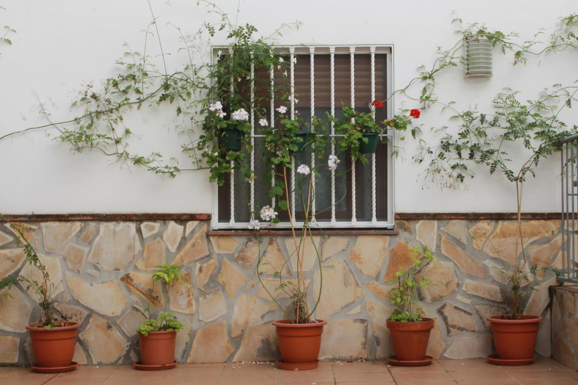 شقة Casa Secreta Velez-Malaga Centro المظهر الخارجي الصورة