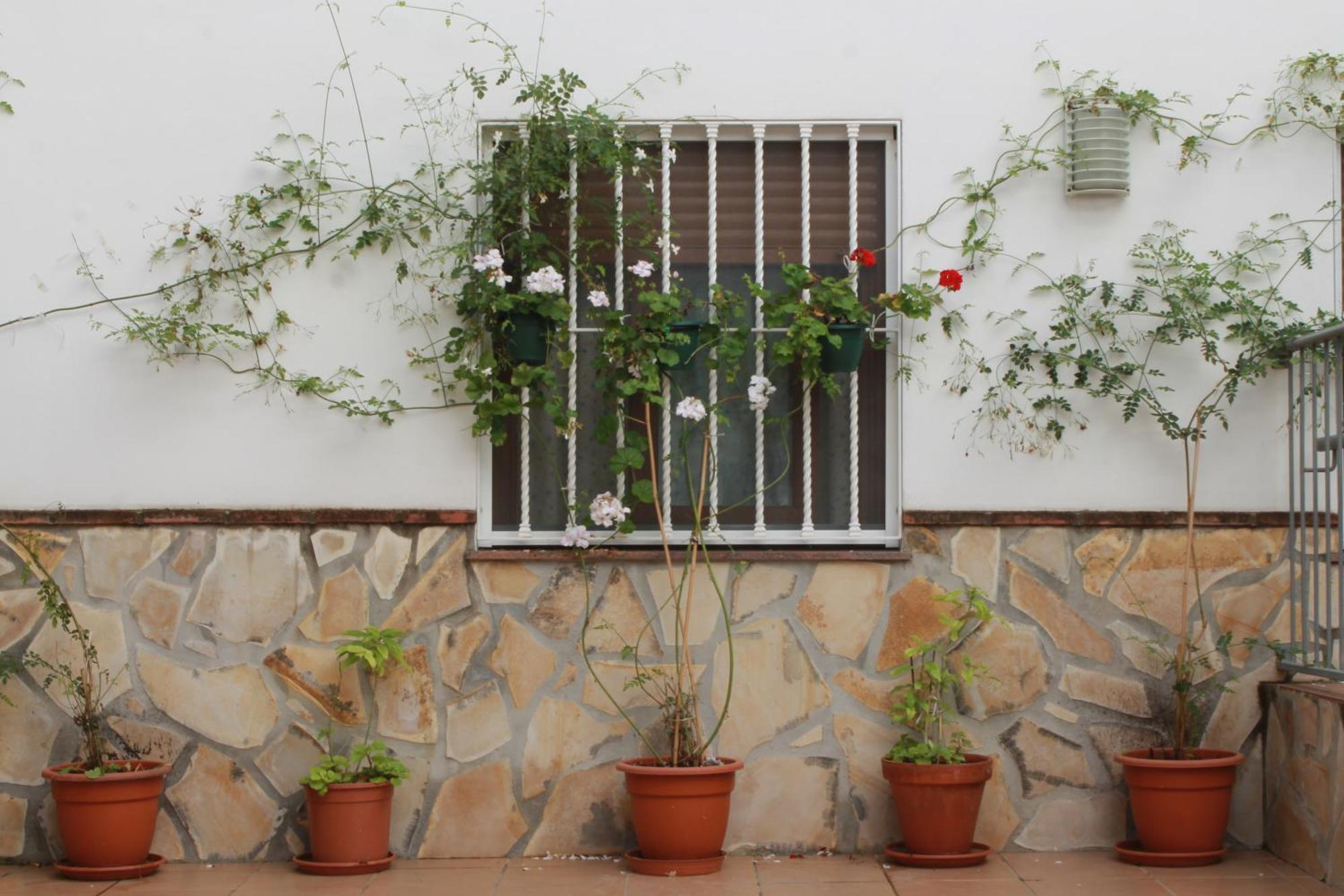 شقة Casa Secreta Velez-Malaga Centro المظهر الخارجي الصورة